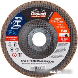 Шлифовальный круг Gepard GP5016-120