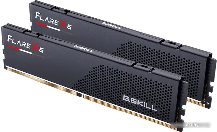 Оперативная память G.Skill Flare X5 2x32ГБ DDR5 5600МГц F5-5600J3636D32GX2-FX5