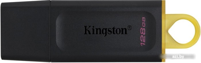 USB Flash Kingston Exodia 128GB
